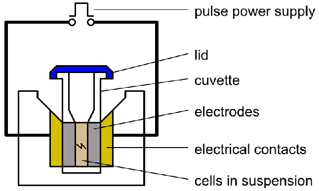 électroporateur